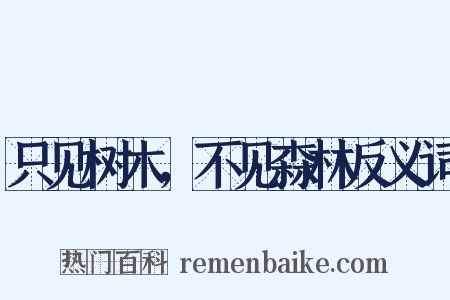 只见树木，不见森林反义词是什么意思的图片
